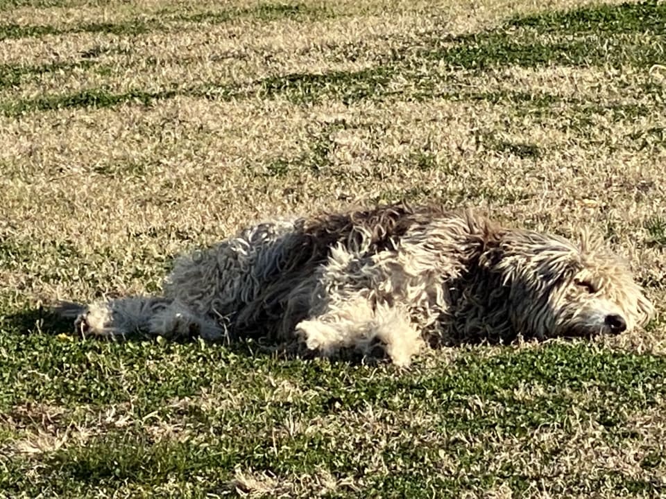 Sonstiges Side Star Beach