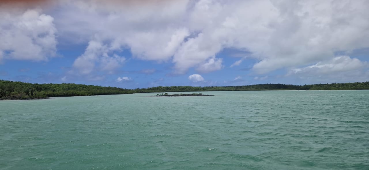 Ausblick Lagoon Attitude - Adults only