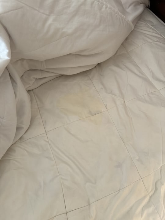 Zimmer Hotel Kempinski Soma Bay