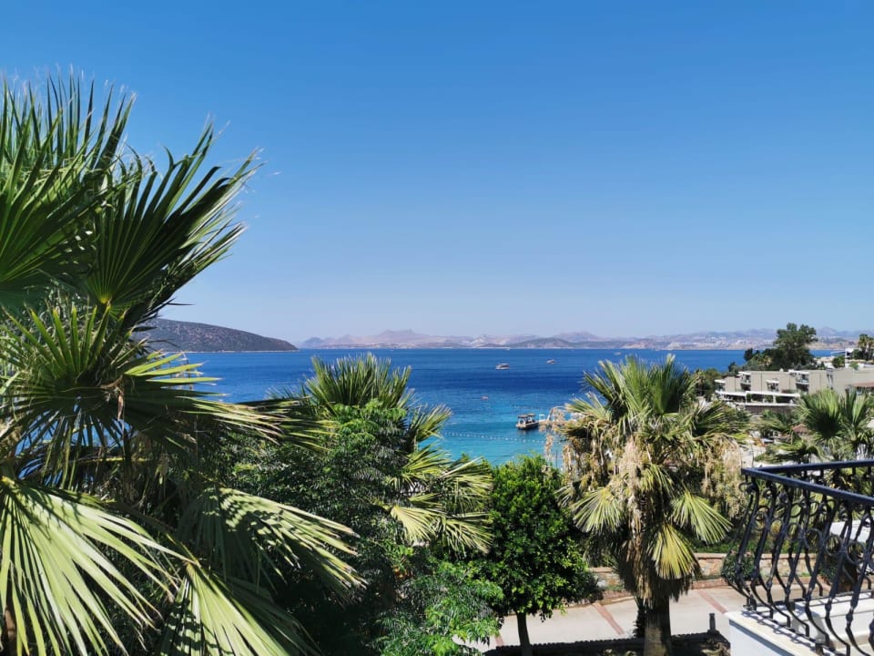 Ausblick TUI MAGIC LIFE Bodrum - Adult Only (16+)