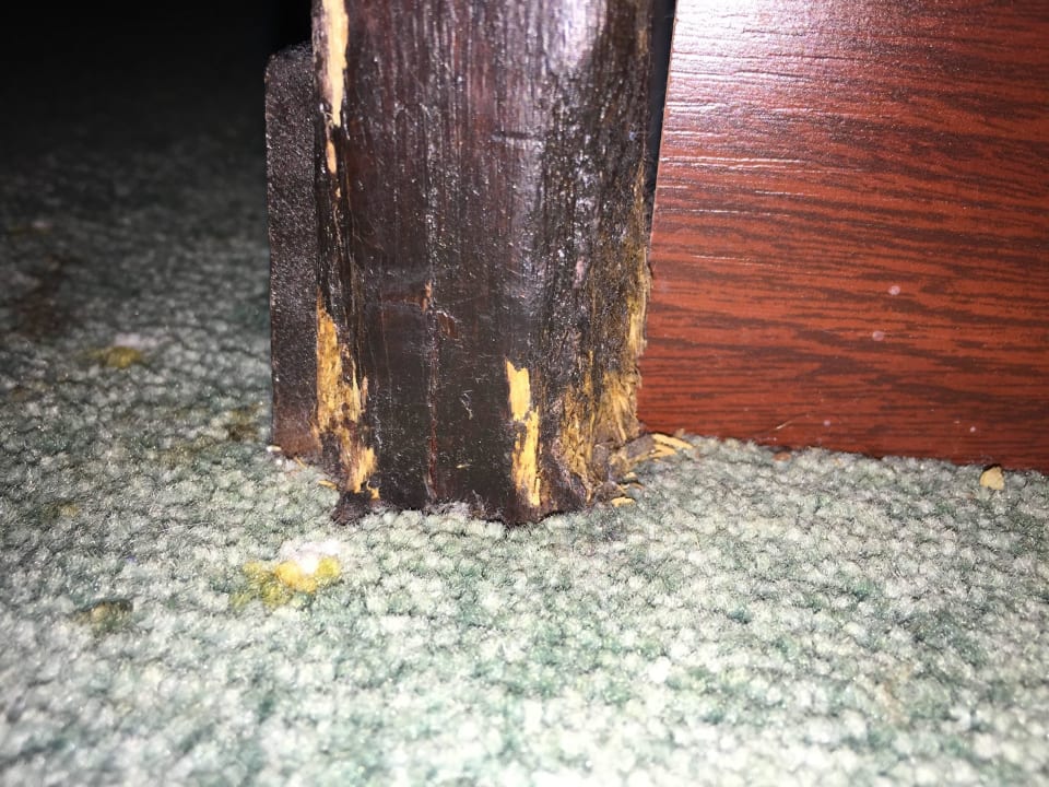 Möbel Schlosshotel Karlsruhe