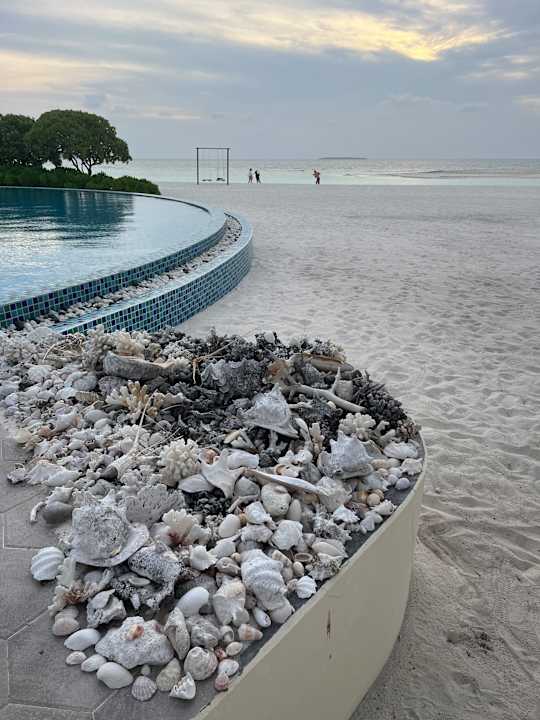 Pool Hondaafushi Island Resort