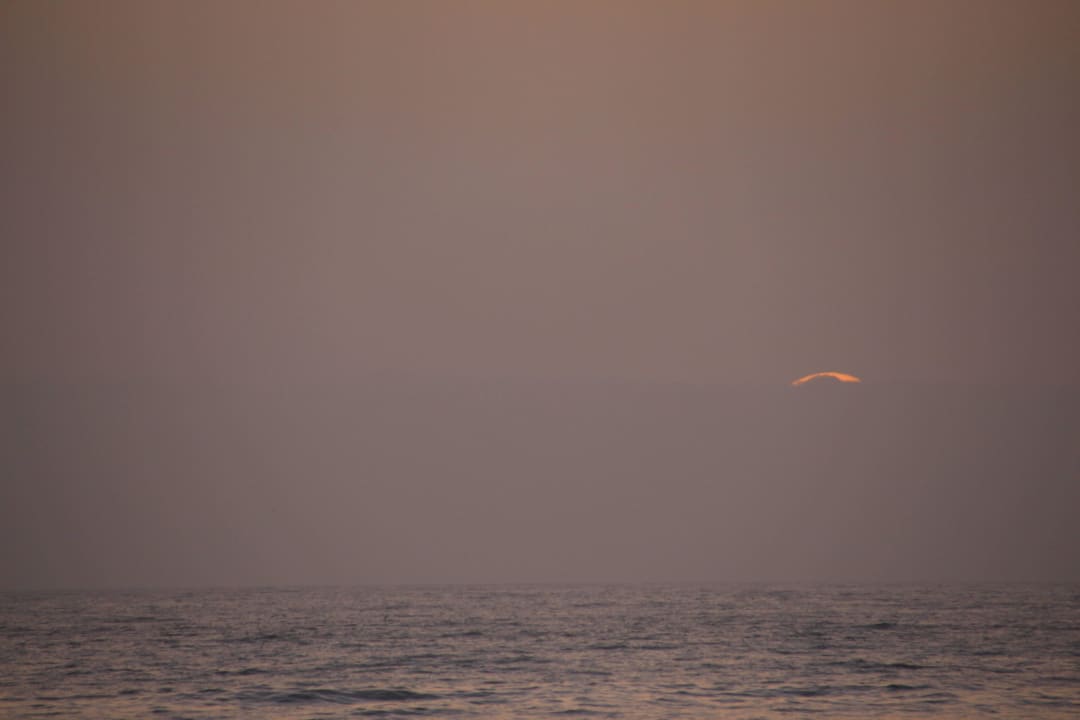 Tenerife Coucher Soleil 2015 H10 Las Palmeras