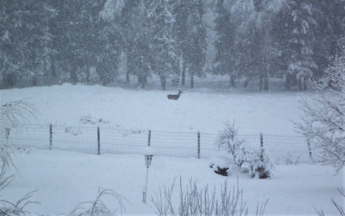 Ausblick Wohlfühlhotel zur Post