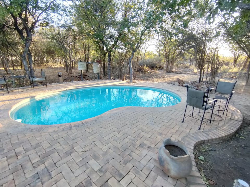 Pool Etosha Village