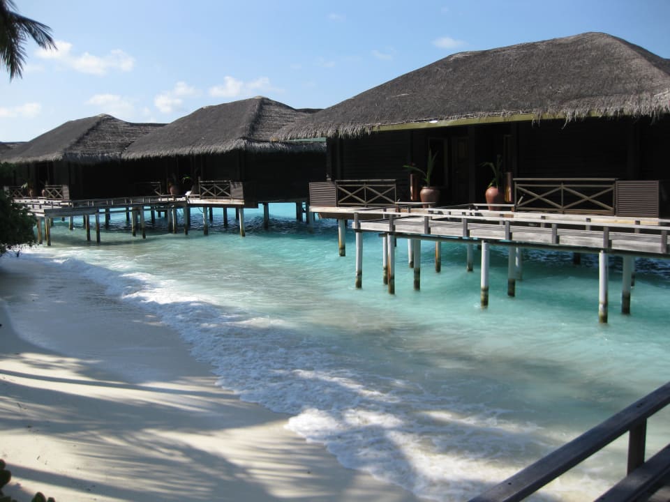 Wasserbungis Lagoonenseite Kuramathi Maldives