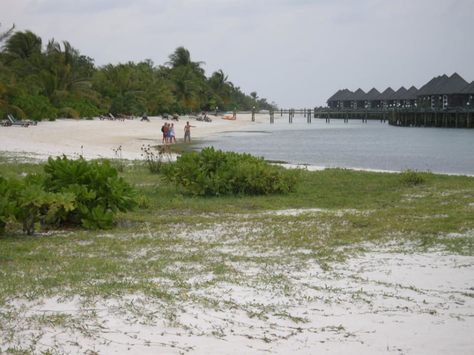 Strand Beach Bungalows Kuredu Kuredu Island Resort & Spa