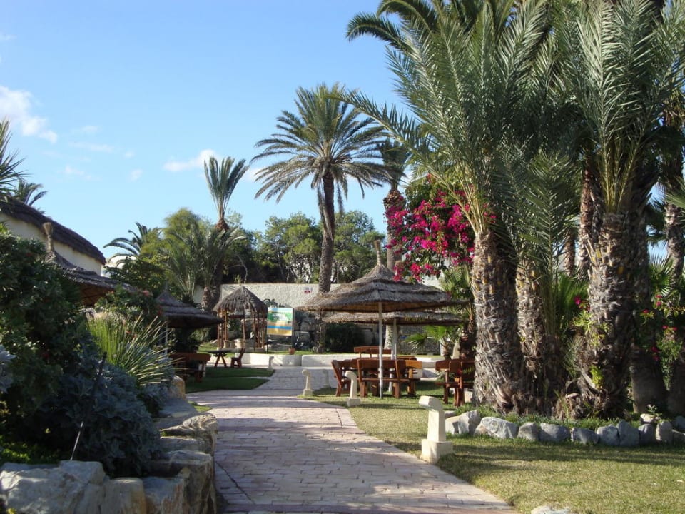 Территория отеля TUI MAGIC LIFE Africana