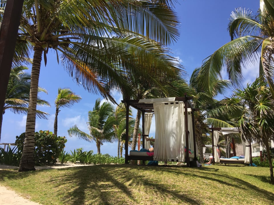 Gartenanlage Akumal Bay Beach & Wellness Resort