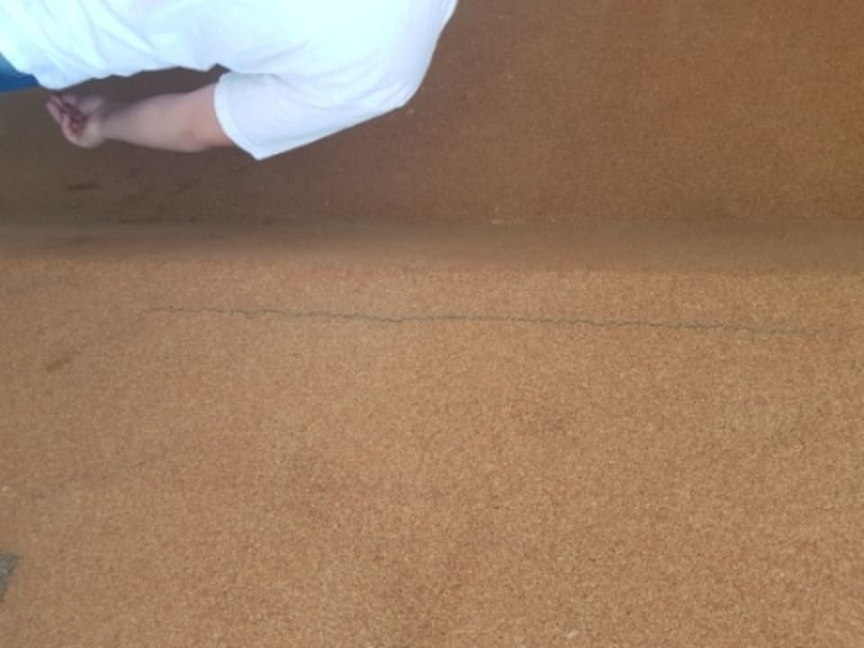 Zimmer Las Palmeras Affiliated by FERGUS