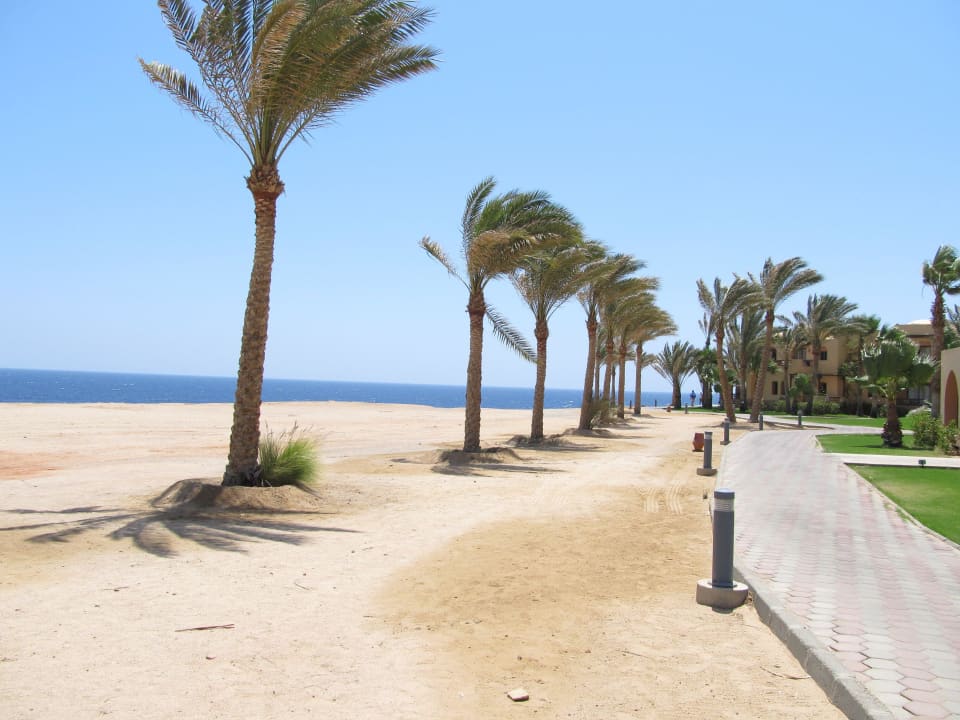 Strand zum Meer Steigenberger Coraya Beach - Adults only