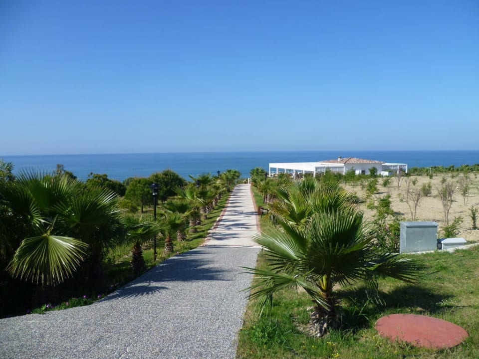 Nochmal der Weg zum Strand Alba Resort Hotel