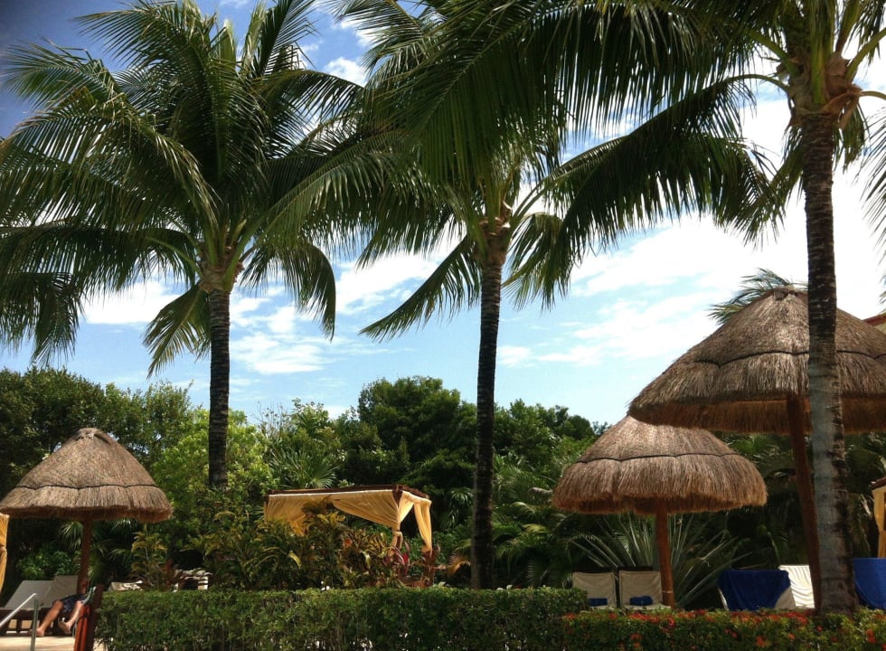 Pool TRS Yucatan Hotel - Adults only