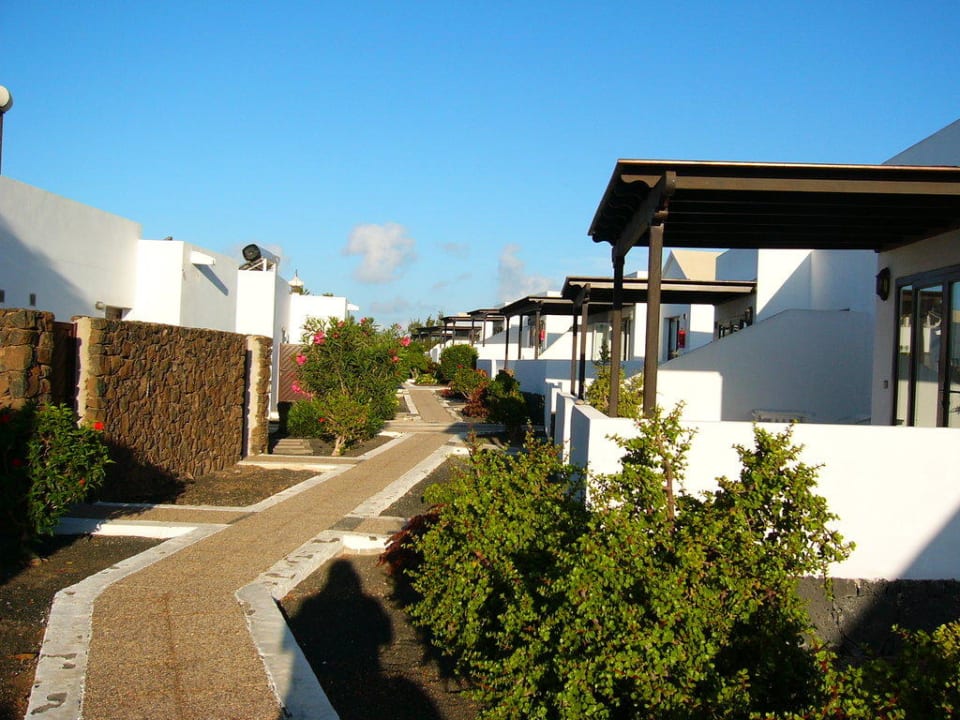 Die Außenanlage Bungalows Playa Limones
