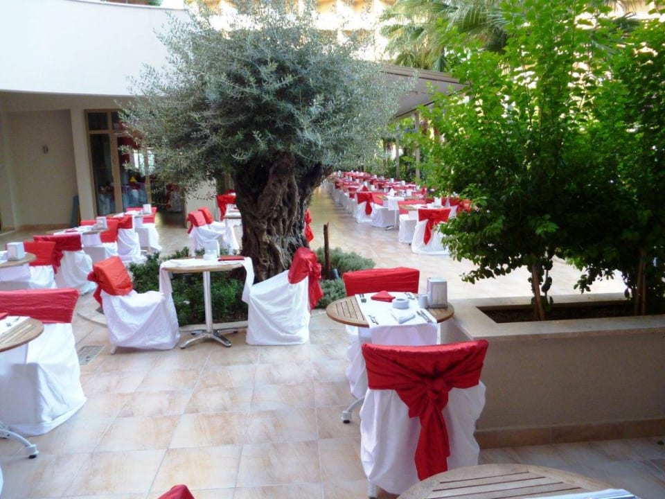 Türkischer Abend am Pool Port Side Resort Hotel