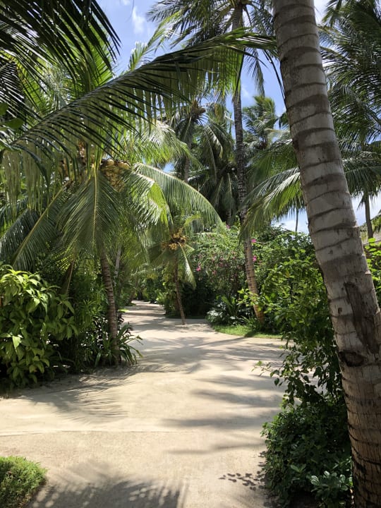 Gartenanlage Kuramathi Maldives