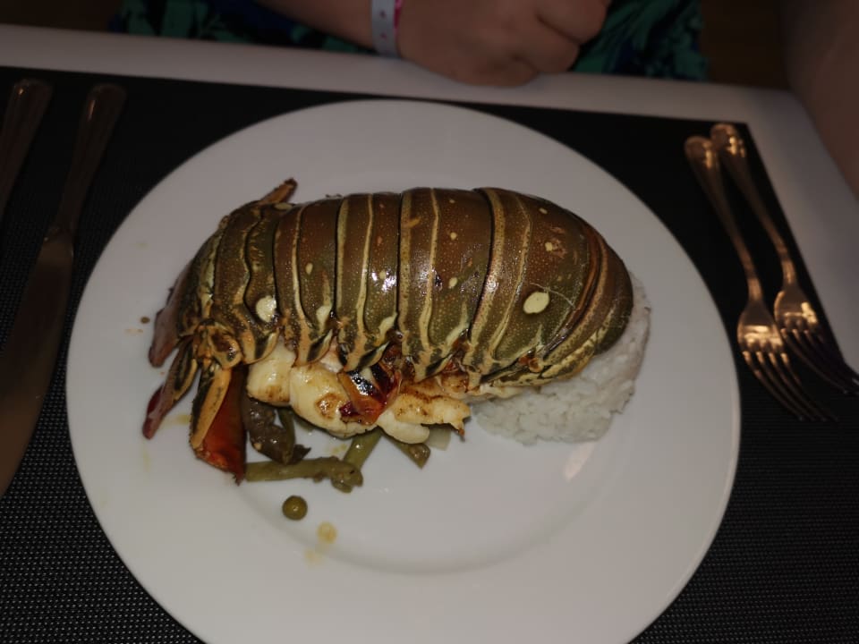 Gastro Playa Vista Azul