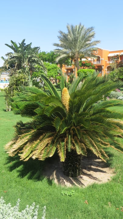 Gartenanlage Sentido Caribbean World Soma Bay