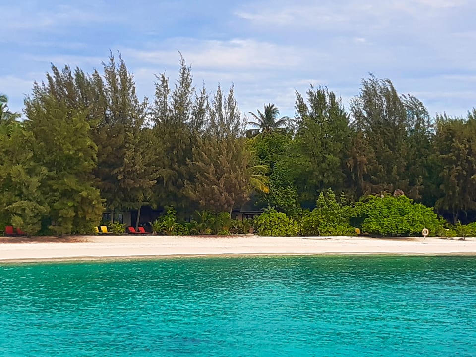 Strand Summer Island Maldives
