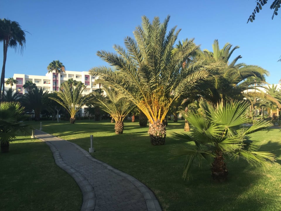 Basen Hotel Riu Gran Canaria