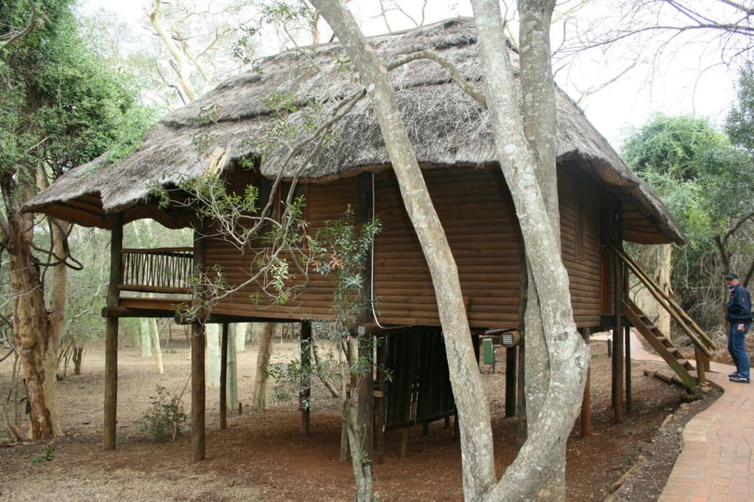 Außenansicht Zimmer Ubizane Zululand Tree Lodge