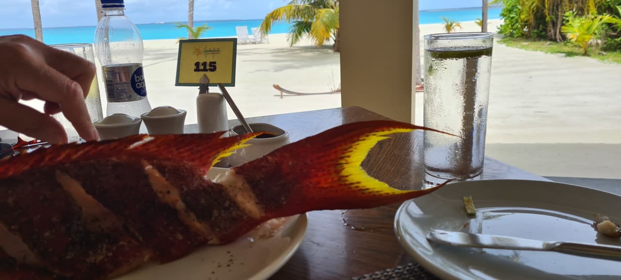 Gastro Hondaafushi Island Resort