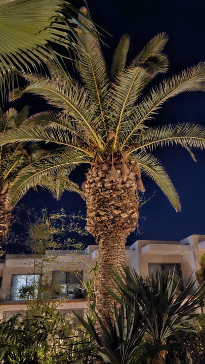 Außenansicht HARPIN Happy Days Beach Hotel