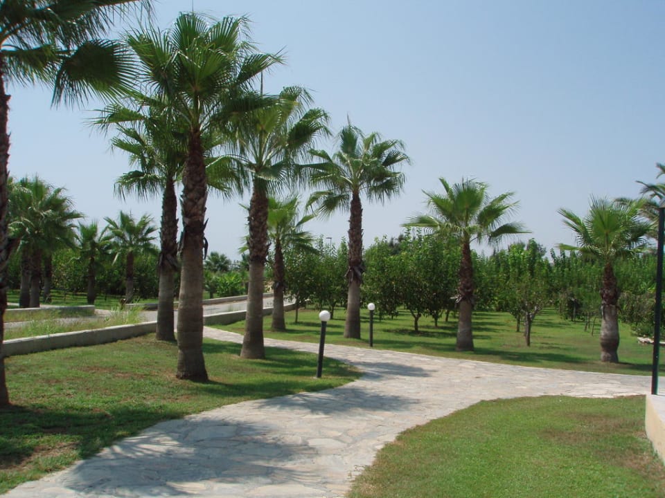 Palmengarten Club Grand Aqua