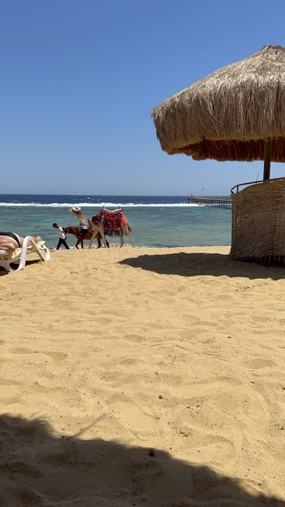 Strand Lazuli Hotel Marsa Alam