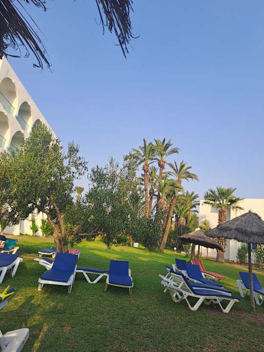 Pool Calimera One Resort Jockey