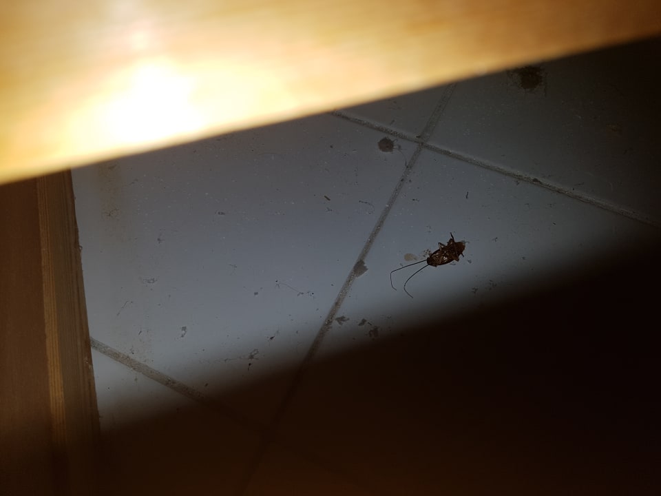 Sonstiges Hotel El Mouradi Skanes Beach