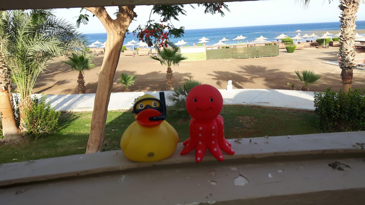 Strand Shams Alam Beach Resort