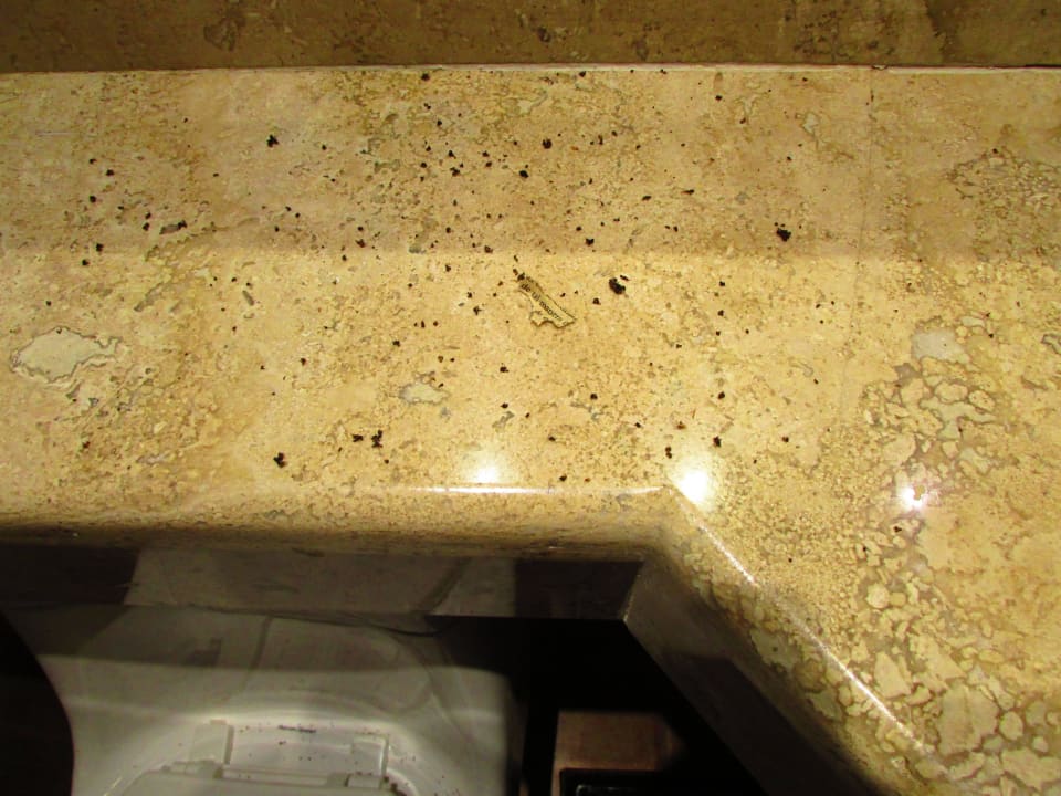 3. Zimmer Dreck von Decke a. Waschtisch Catalonia Riviera Maya & Catalonia Yucatan Beach