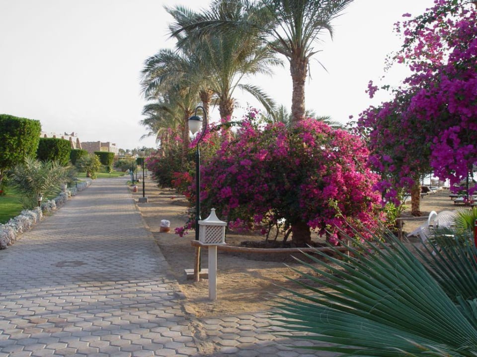 Blüten Brayka Bay Resort