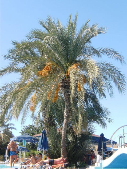 Pool Kresten Palace Hotel