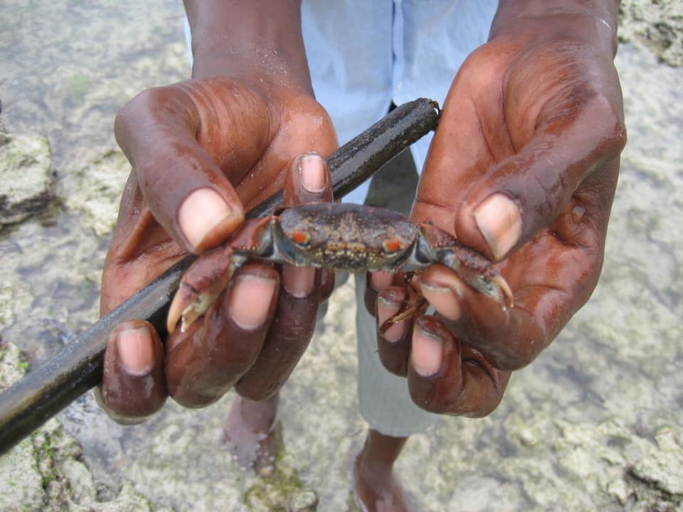 Hotel Bahari Beach Club Bahari Beach Hotel