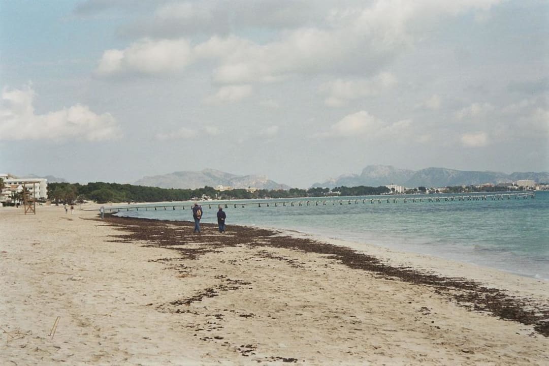 Strand mit Blick Richtung Alcudia Iberostar Waves Playa de Muro