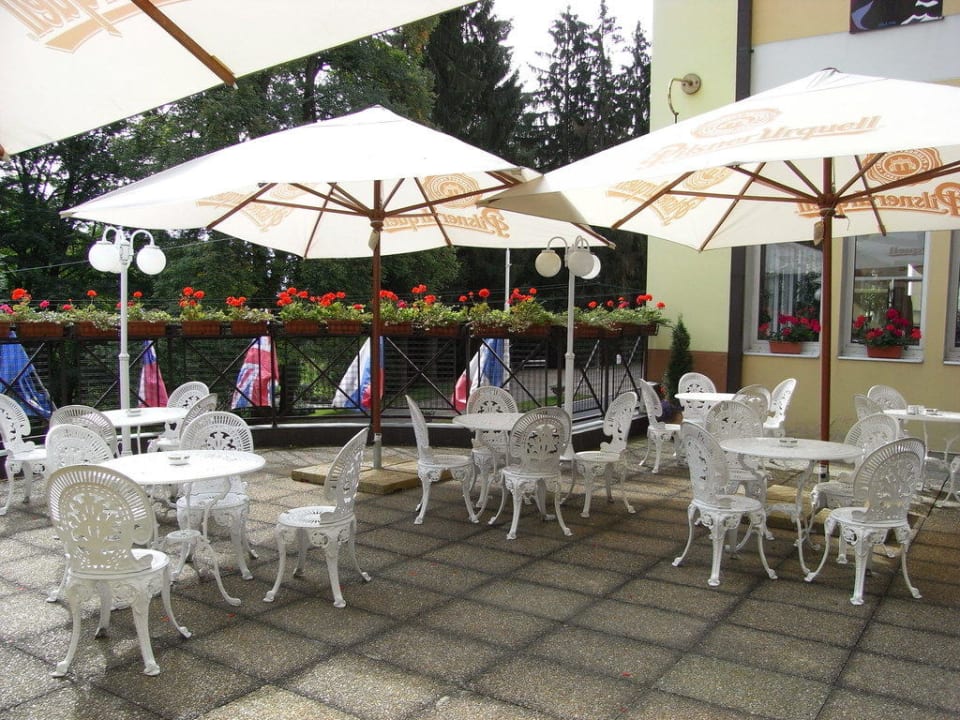 Dachterrasse Butterfly Ensana Health Spa Hotel