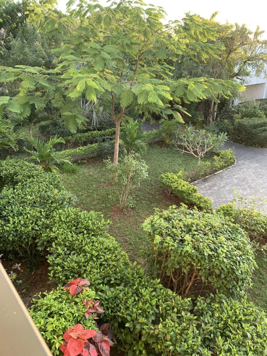 Gartenanlage Hotel Riu Palace Zanzibar