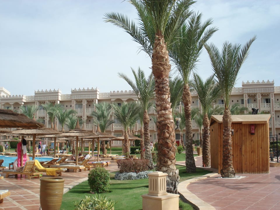 Palmen Pickalbatros Palace Resort