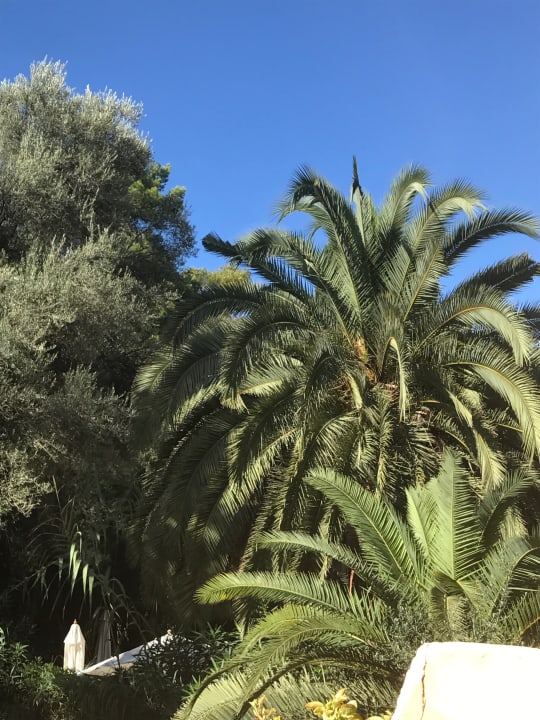 Sonstiges Lago Garden