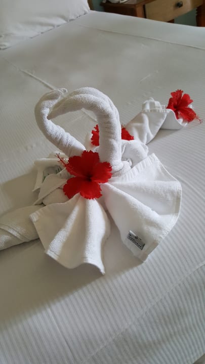 Zimmer Iberostar Waves Punta Cana