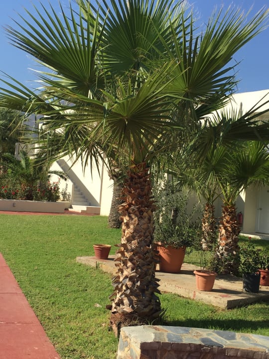 Gartenanlage HARPIN Georgioupolis Resort Aquapark & SPA