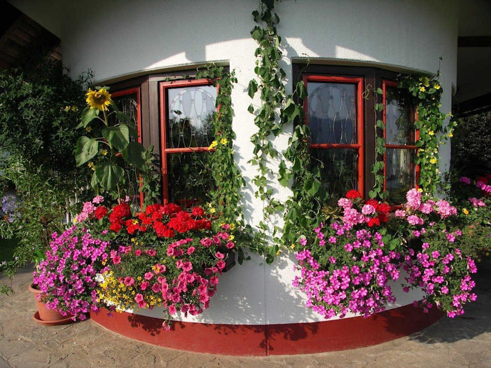 Blumenfenster Apartments Haus Krista