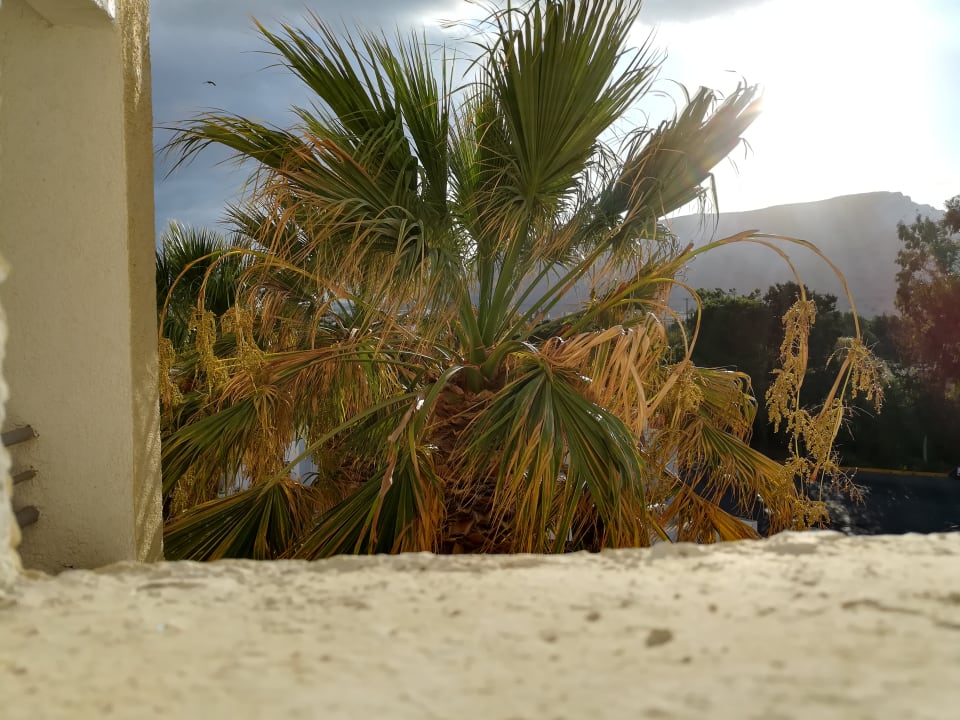 Ausblick Dessole Dolphin Bay Resort