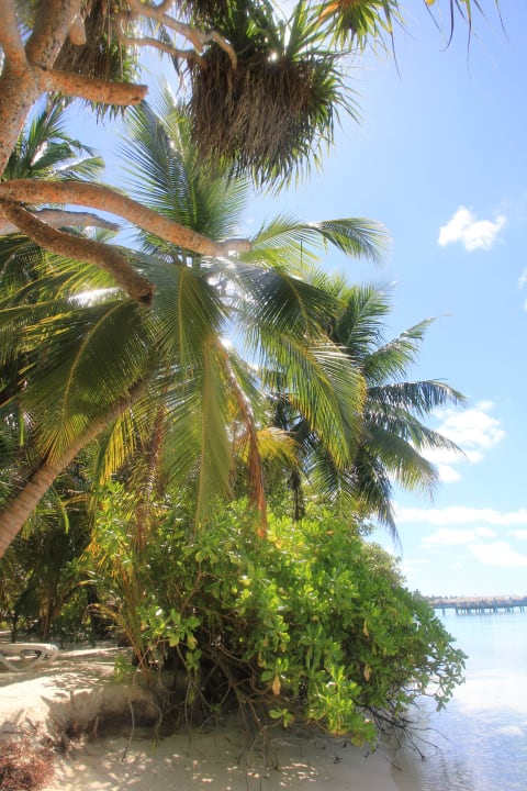 Genial Kuramathi Maldives