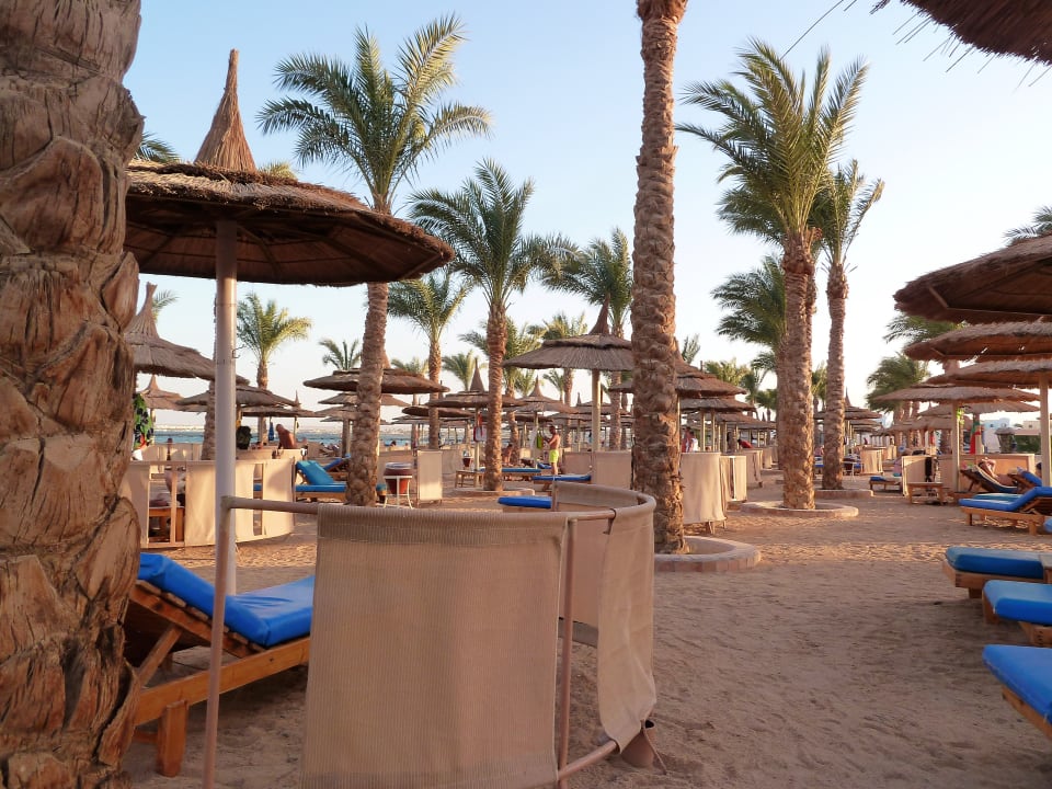 Strand Pickalbatros Palace Resort