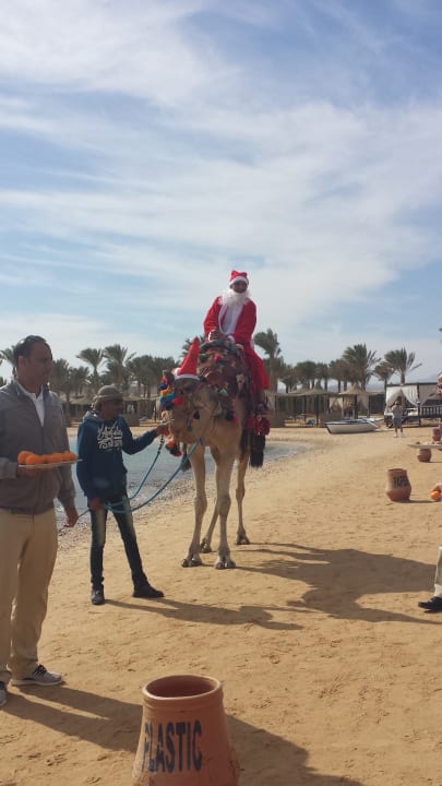 Der Nikolaus am Strand Steigenberger Coraya Beach - Adults only