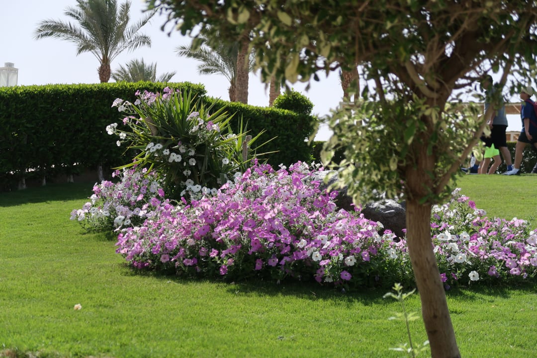 Gartenanlage Jaz Aquaviva