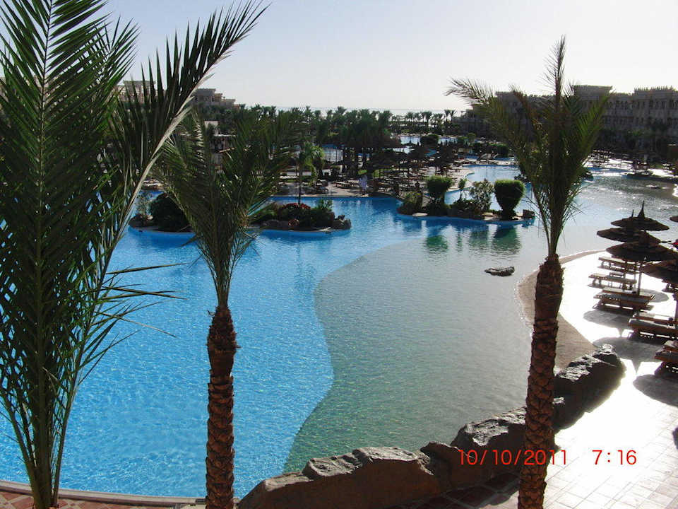 Pool Pickalbatros Palace Resort